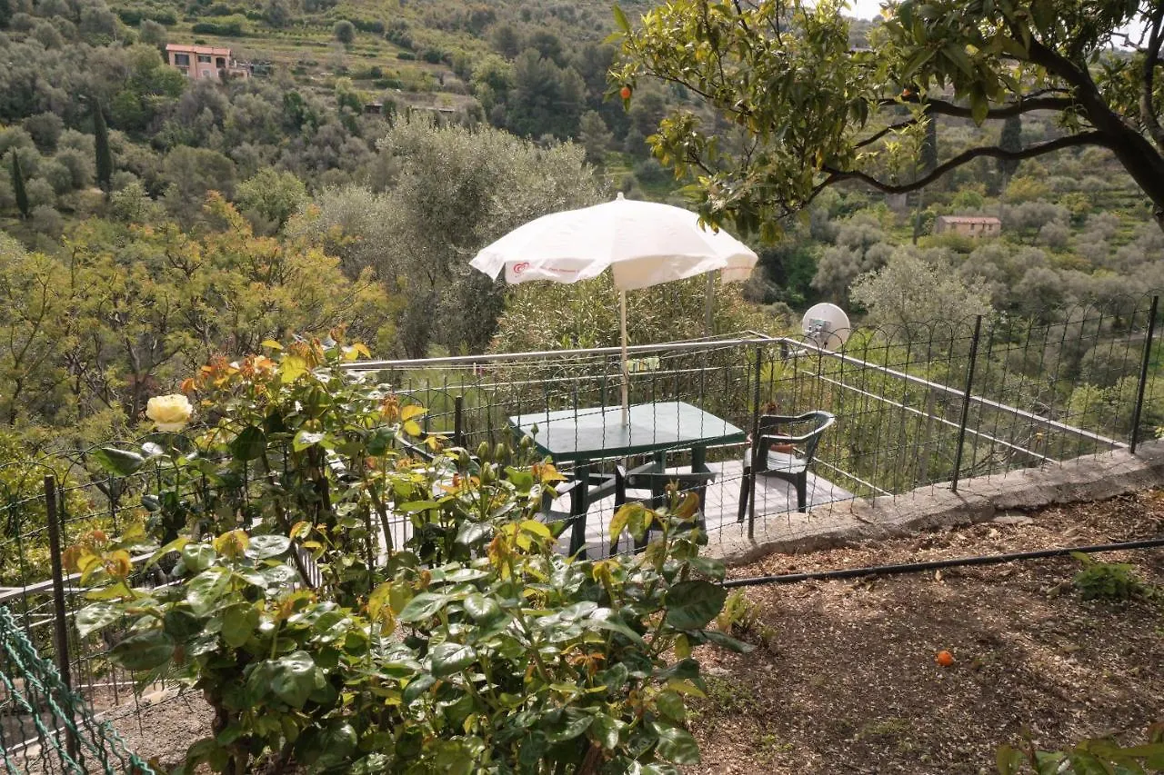 U Ciousu By Ligurian Life Appartamenti In Agriturismo Vallebona