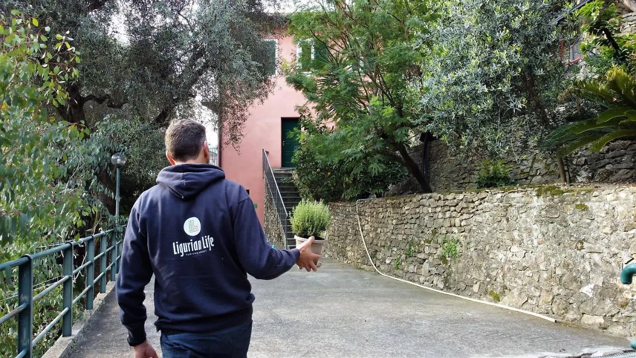 U Ciousu By Ligurian Life Appartamenti In Agriturismo Vallebona Apartment
